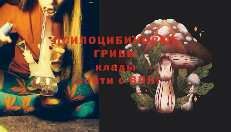 гидра ссылки  магазин    Электроугли  Псилоцибиновые грибы MAGIC MUSHROOMS 